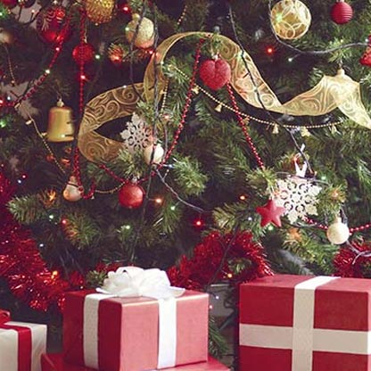 AAVNI - Lets Spread Green