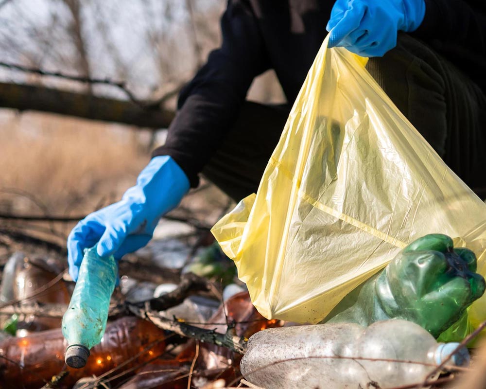 AAVNI - Lets Spread Green