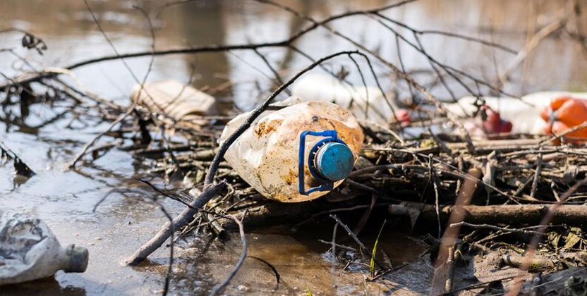 AAVNI - Lets Spread Green