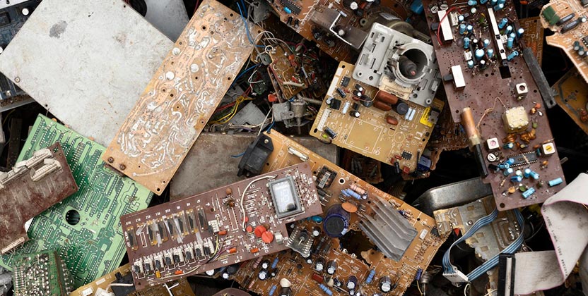 AAVNI - Lets Spread Green