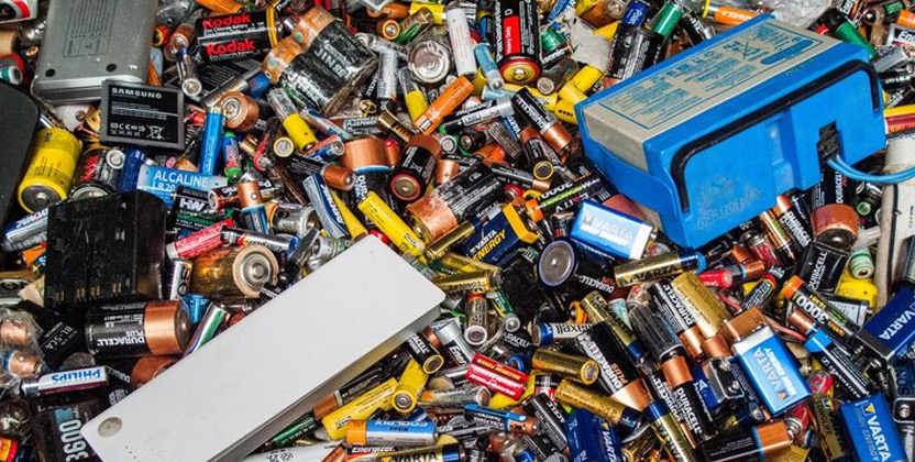 AAVNI - Lets Spread Green